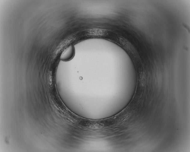 X0000102790731200809021114