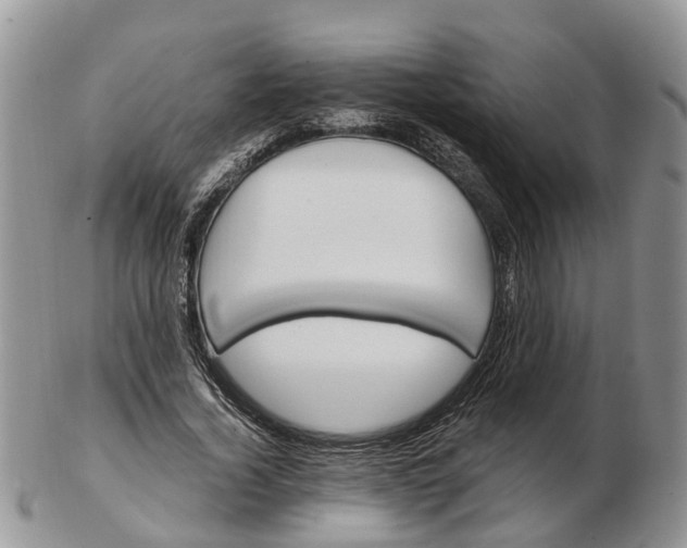 X0000102790732200809021114