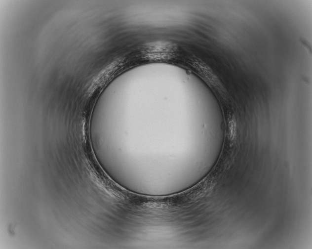 X0000102790733200809021114