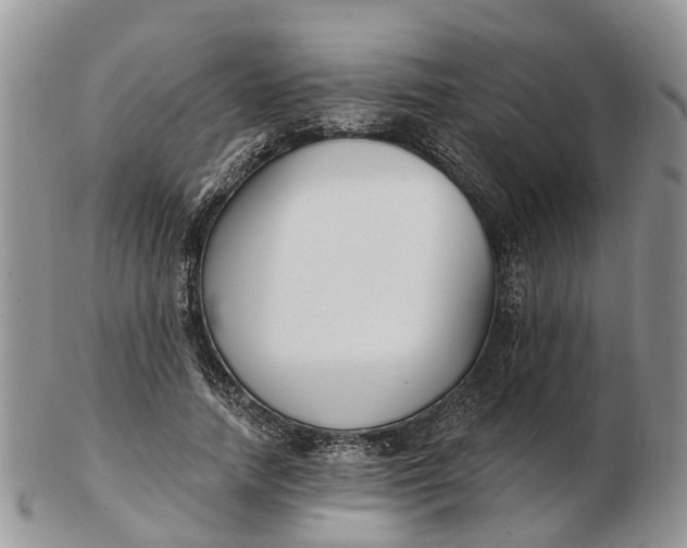 X0000102790738200809021114