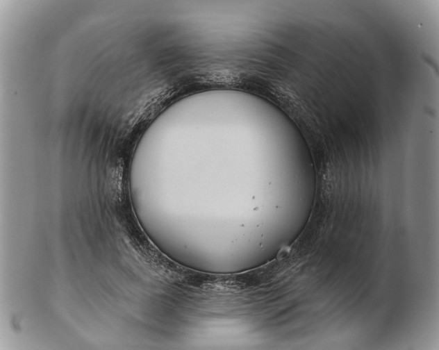 X0000102790739200809021114