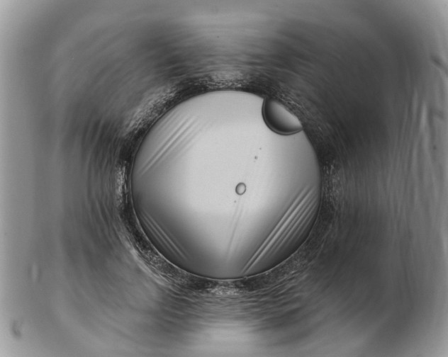 X0000102790742200809021114