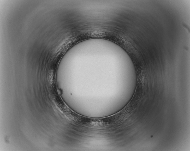 X0000102790744200809021114