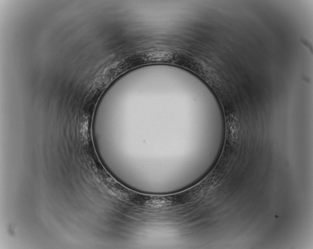 X0000102790745200809021114