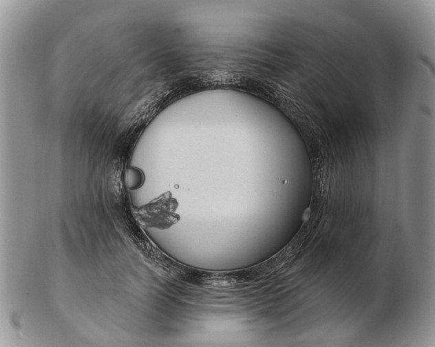 X0000102790746200809021114