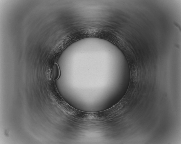 X0000102790750200809021114