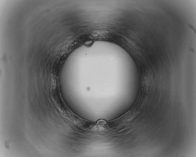 X0000102790751200809021114