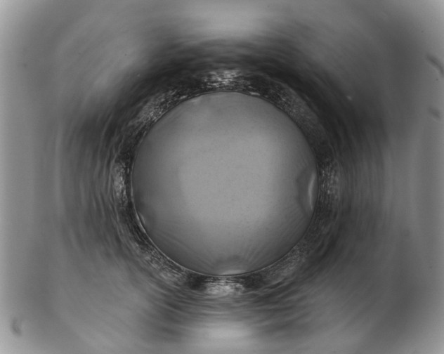 X0000102790754200809021114