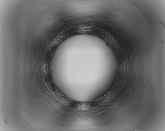 X0000102790755200809021114