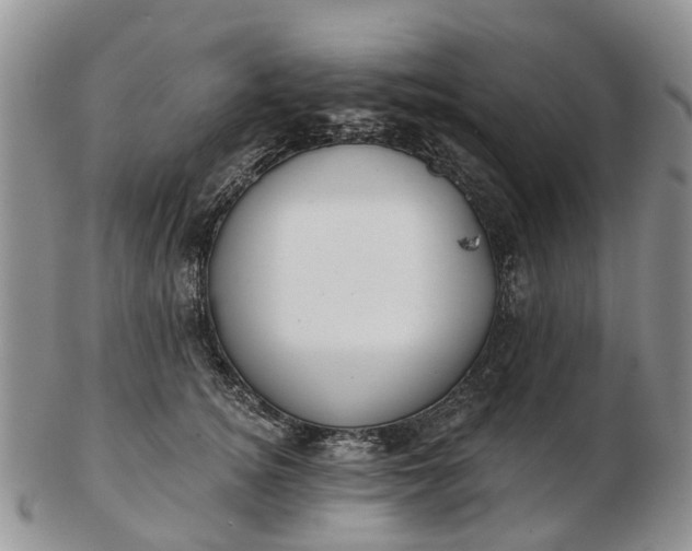 X0000102790756200809021114