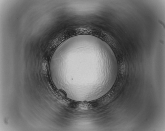 X0000102790757200809021114