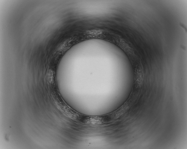 X0000102790758200809021114