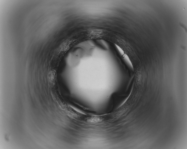 X0000102790759200809021114