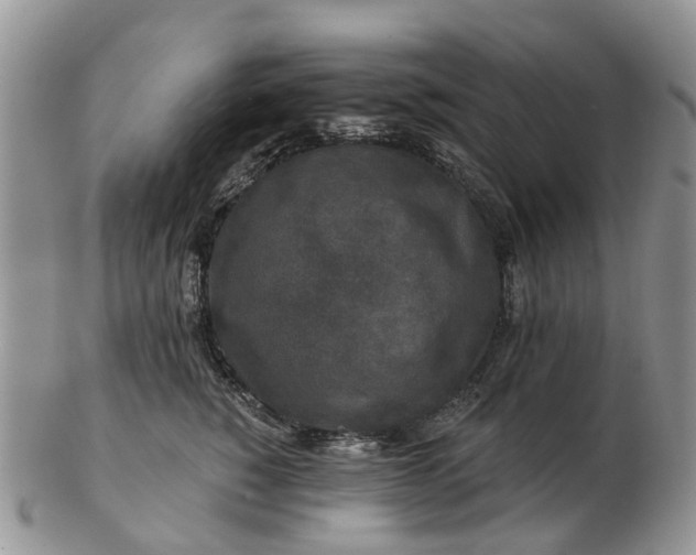 X0000102790760200809021114