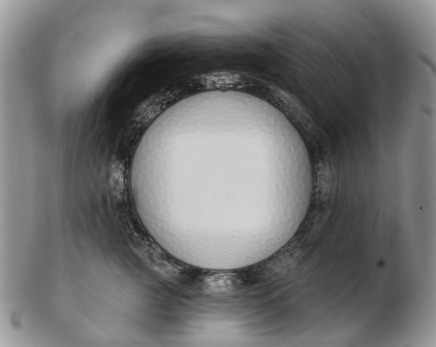 X0000102790761200809021114