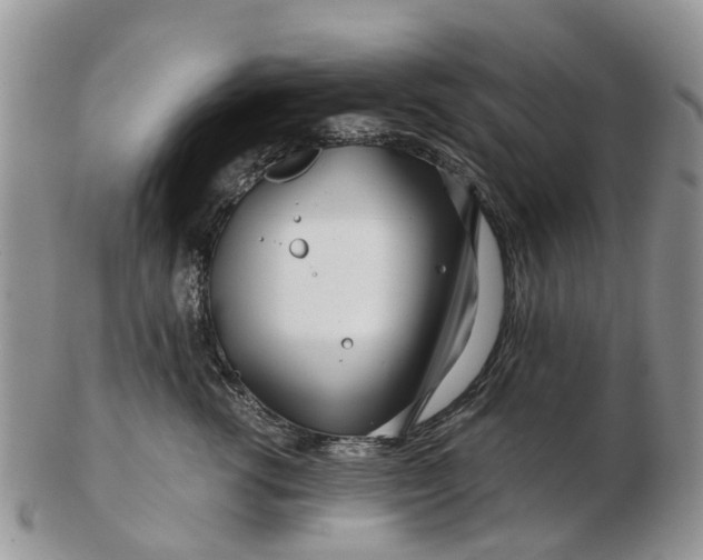 X0000102790762200809021114