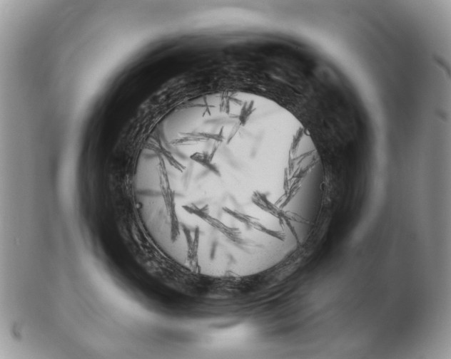 X0000102790765200809021114