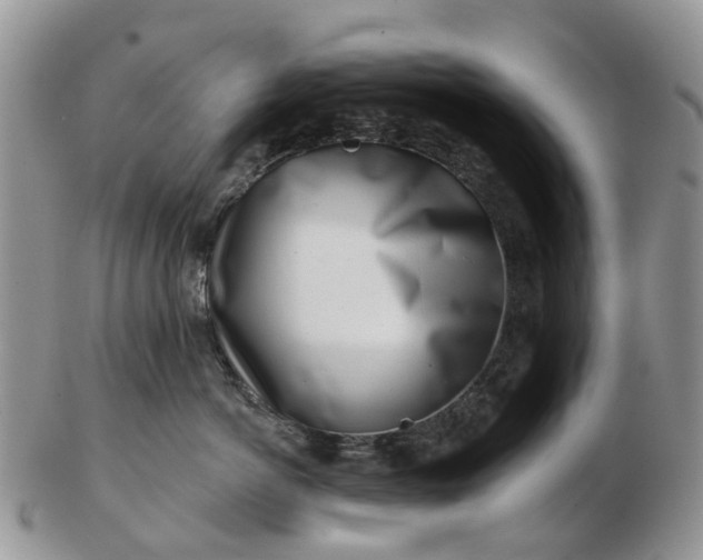 X0000102790766200809021114