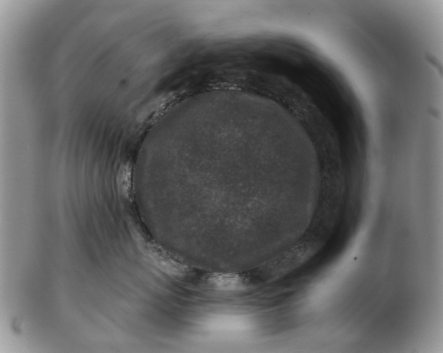 X0000102790767200809021114