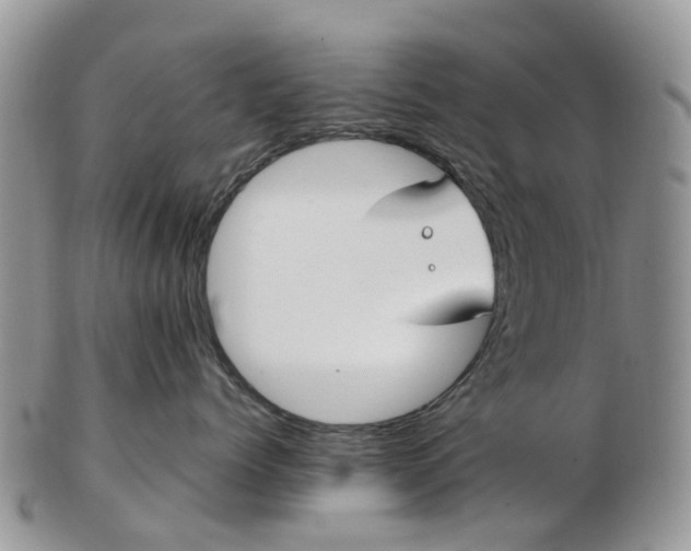 X0000102790768200809021114