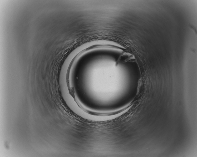 X0000102790769200809021114