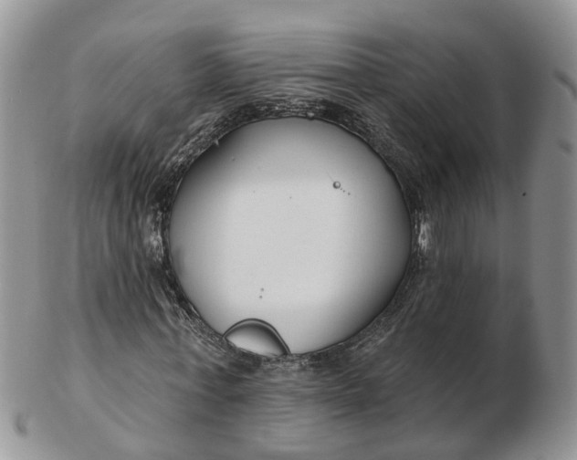 X0000102790771200809021114