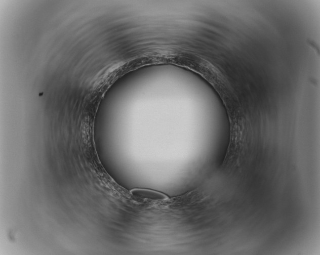 X0000102790773200809021114