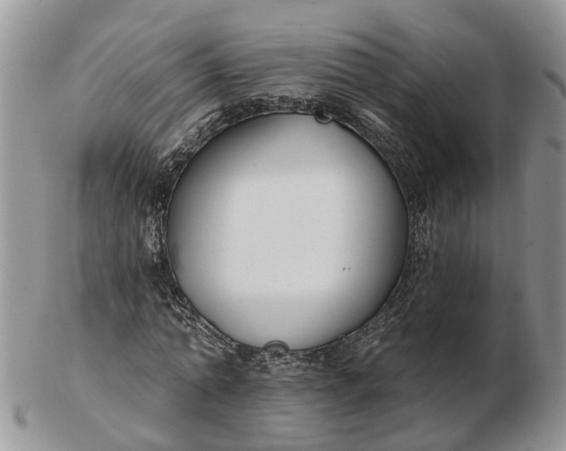 X0000102790774200809021114