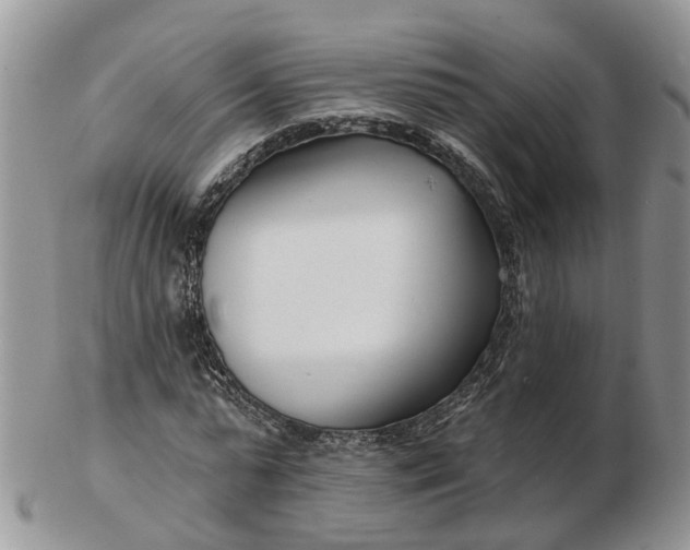 X0000102790775200809021114