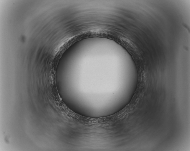 X0000102790776200809021114