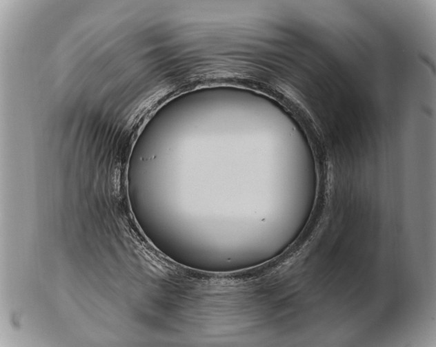 X0000102790777200809021113