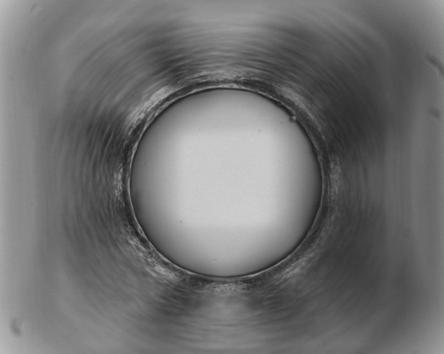 X0000102790778200809021113