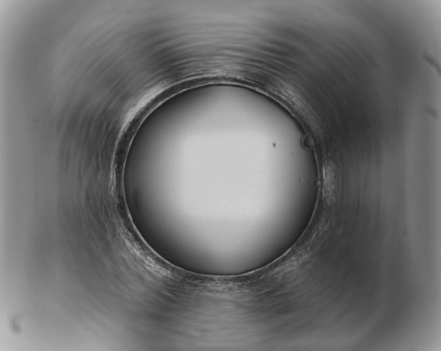 X0000102790780200809021113