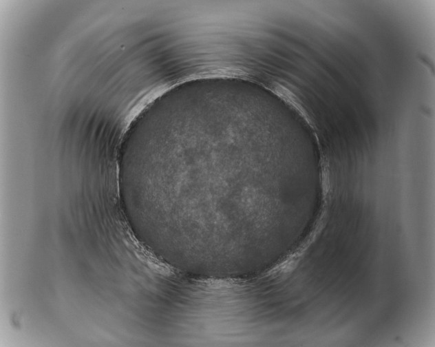 X0000102790781200809021113