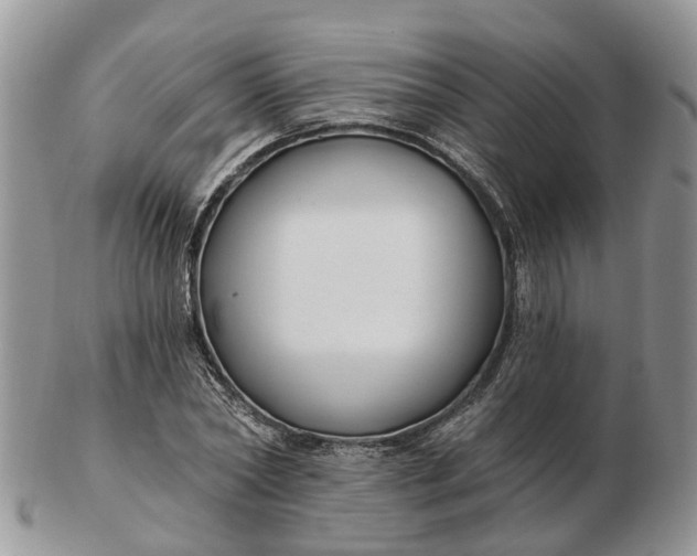 X0000102790782200809021113