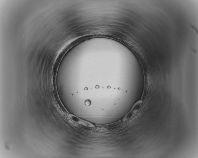 X0000102790784200809021113