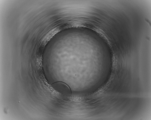 X0000102790785200809021113