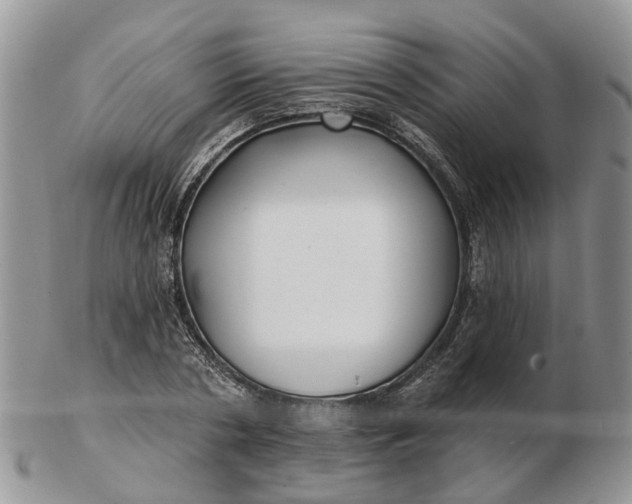 X0000102790786200809021113