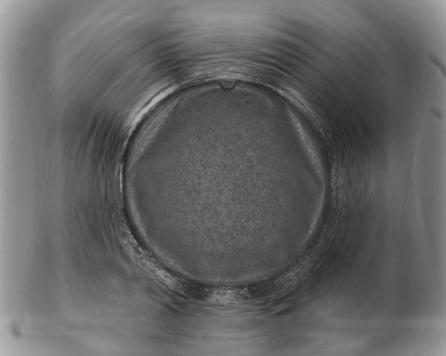 X0000102790790200809021113