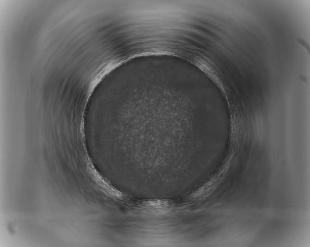 X0000102790797200809021113