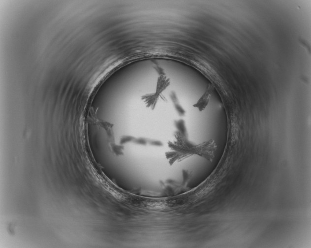 X0000102790798200809021113