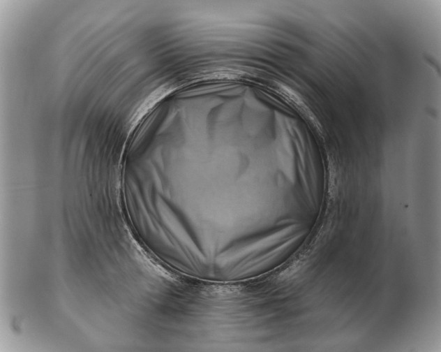 X0000102790802200809021113