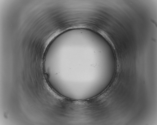 X0000102790805200809021113