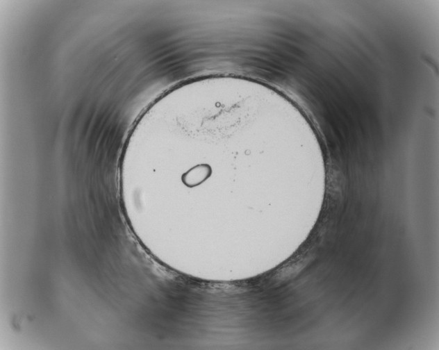 X0000102790807200809021113