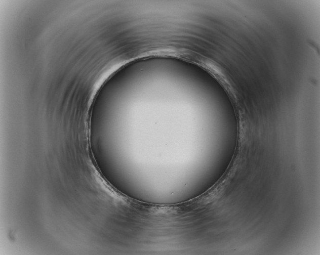 X0000102790808200809021113