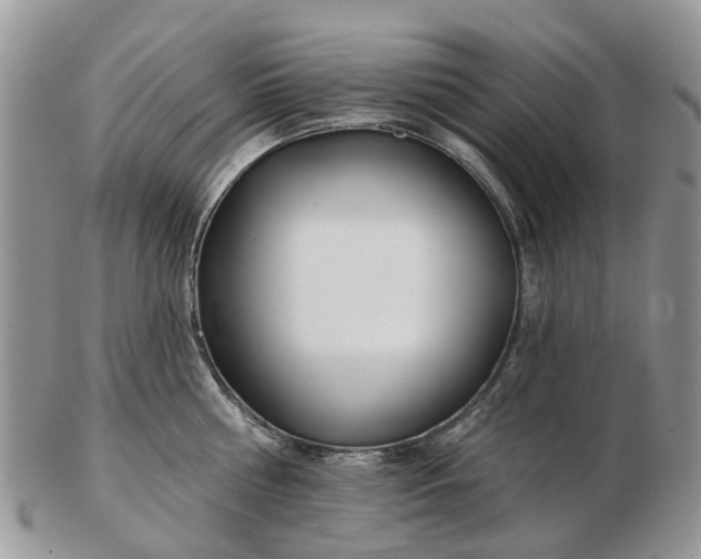 X0000102790810200809021113