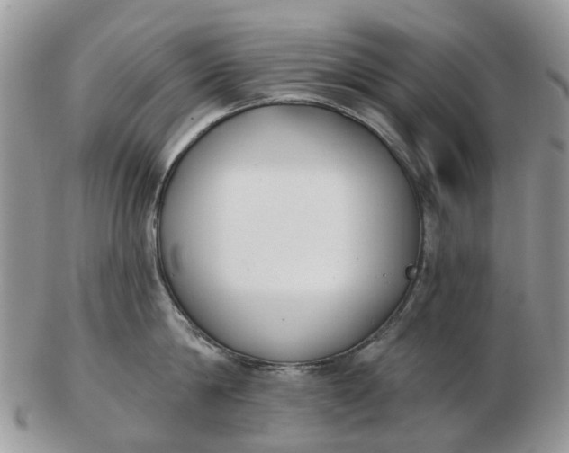 X0000102790814200809021113