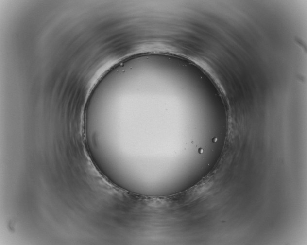 X0000102790815200809021113