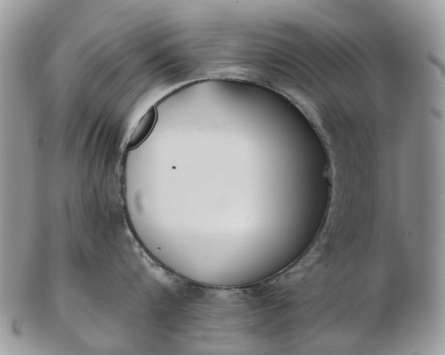 X0000102790816200809021113