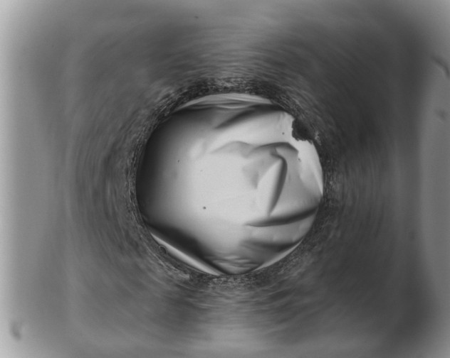 X0000102790817200809021112